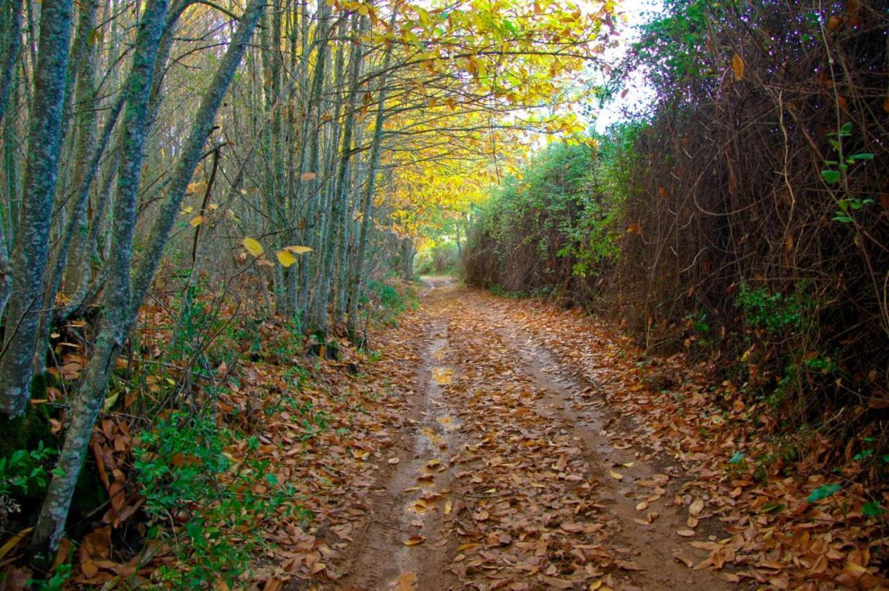 Mi Pequeno Refugio Villa Constantina Dış mekan fotoğraf